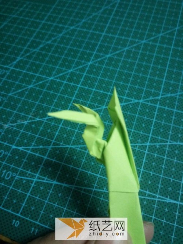 Origami Mantis Manual Illustrated Tutorial Origami Insect Encyclopedia