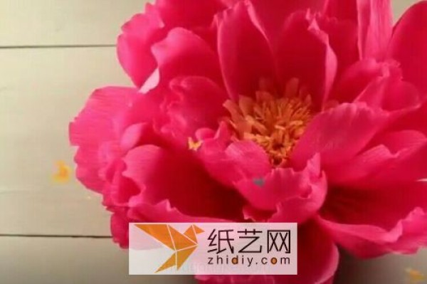 Extra large peonies made of crepe paper can be used to decorate the classroom on Teacher’s Day