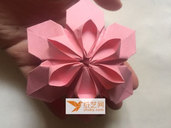 Three-dimensional origami cherry blossom origami flower tutorial