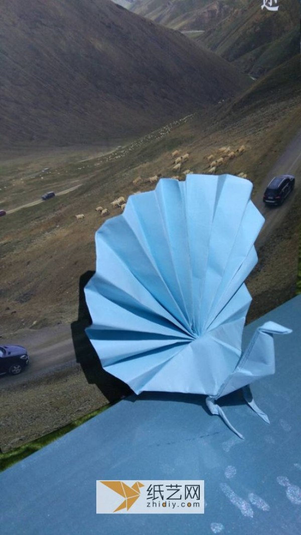 An origami peacock with its tail open