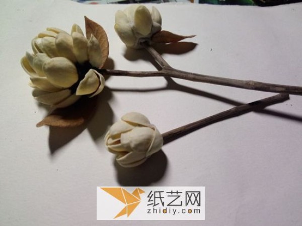 This tutorial on turning waste into treasure teaches you how to make exquisite handmade flowers from pistachio shells