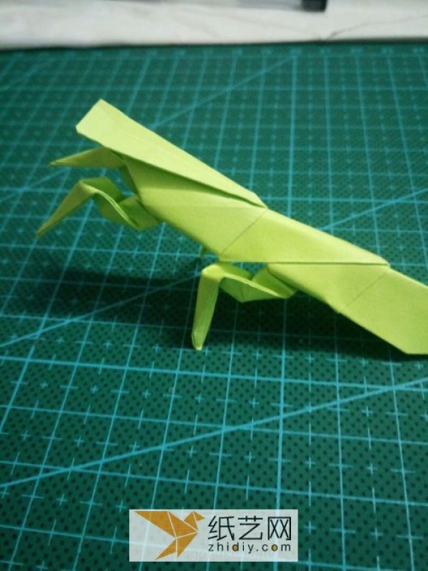 Origami Mantis Manual Illustrated Tutorial Origami Insect Encyclopedia