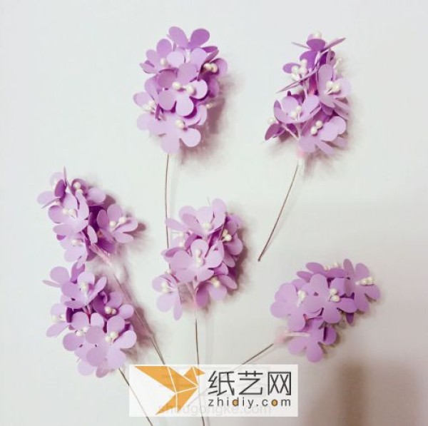 Handmade paper flower tutorial of the everlasting flower hyacinth. Actual pictures teach you how to make paper flowers.