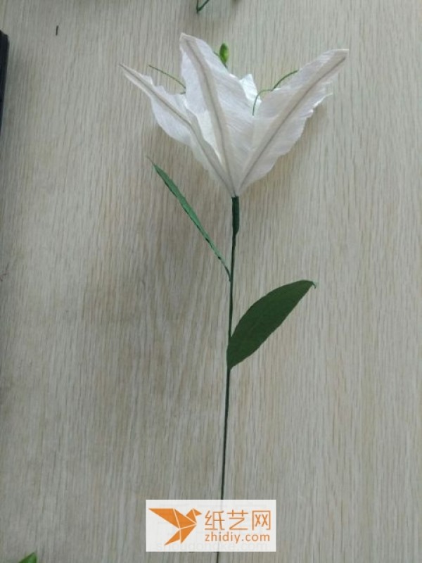 Tutorial illustration of paper art lily New Year decoration made from crepe paper