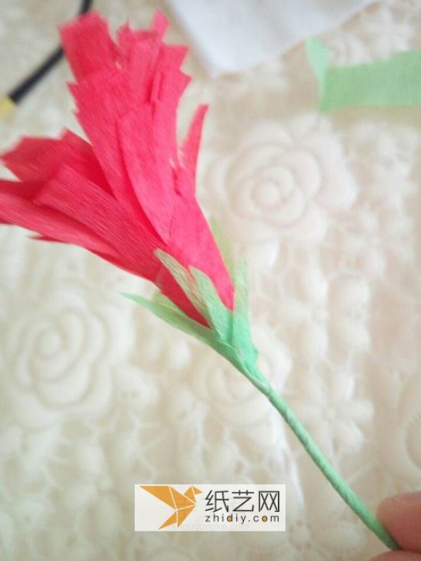 Mother’s Day Carnation Bouquet Illustrated Tutorial