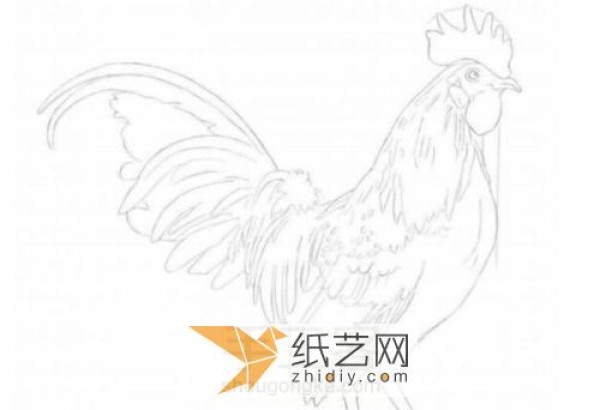 Illustration of the paper drawing tutorial of a big rooster made with quill paper. A New Year’s gift for the Year of the Rooster.