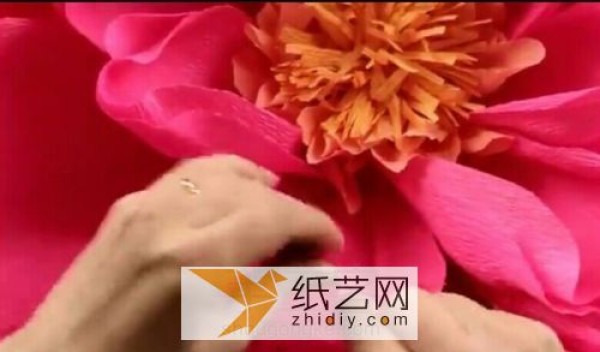 Extra large peonies made of crepe paper can be used to decorate the classroom on Teacher’s Day