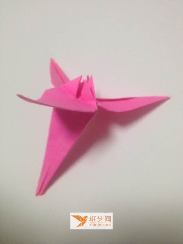 A real-life picture tutorial of an origami flower without a name