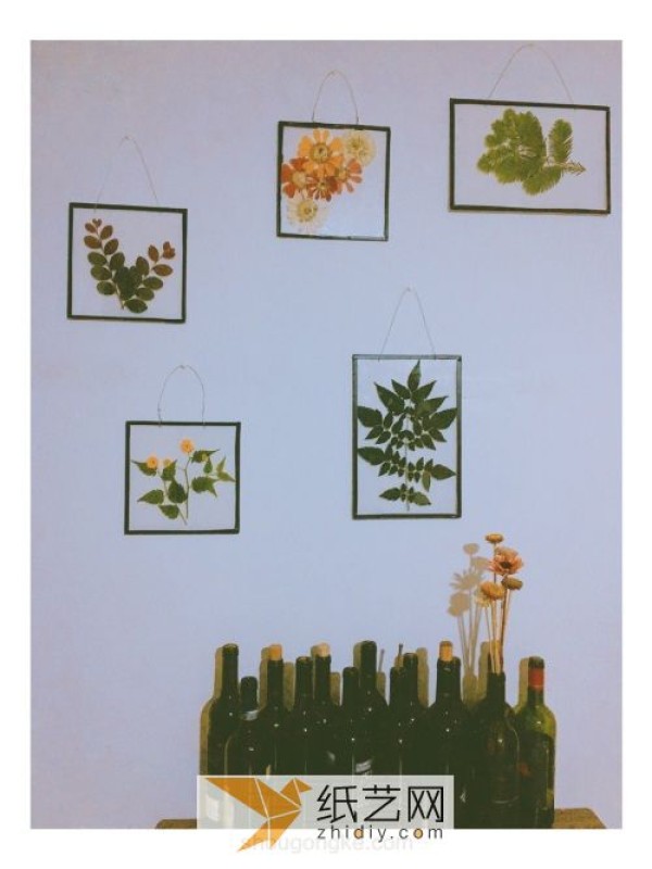 As a Teachers Day gift, you can turn waste into treasure and make decorative paintings of plant specimens.