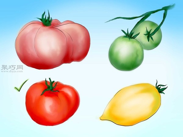 Steps to grow tomatoes from seeds How to grow tomatoes from seeds