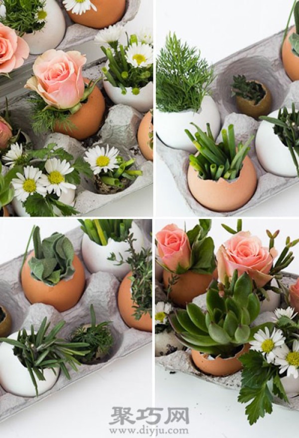 The wonderful use of egg shells. Handmade egg shell green plants in small pots.