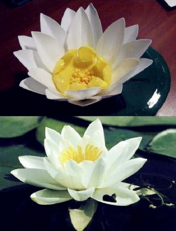 How to make lotus flowers from beverage bottles by hand. Tutorial on DIY lotus flowers from plastic bottles.