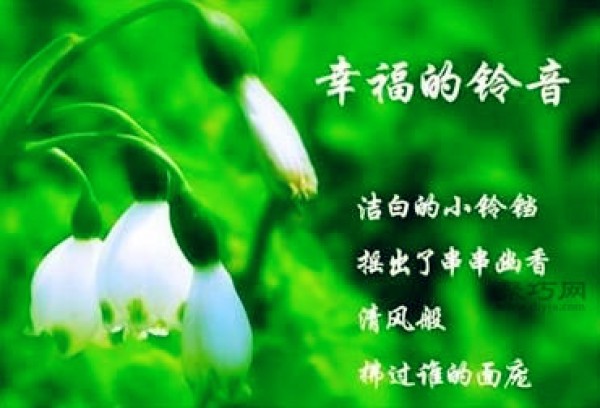 Lily of the valley pictures Lily of the valley flower language