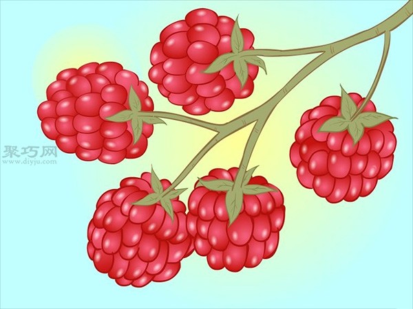 Steps to grow raspberries How to grow raspberries