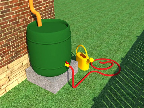 How to irrigate lawns to save water and be effective