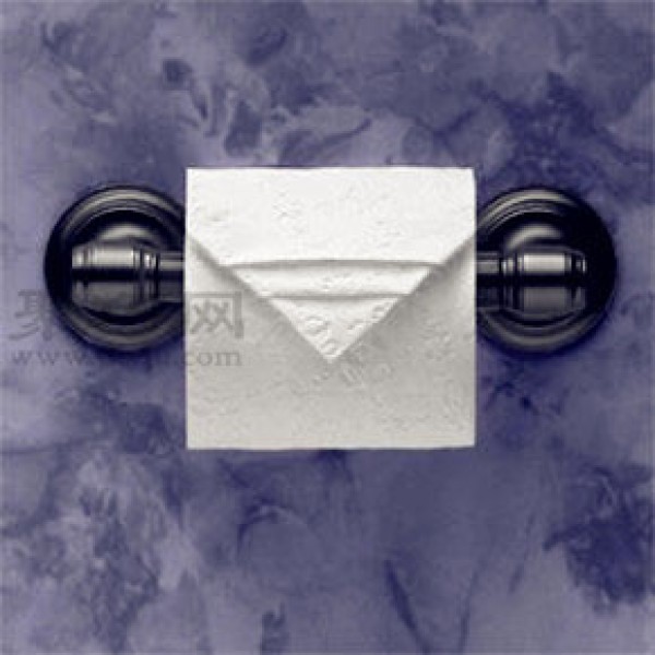 Toilet paper origami illustrated tutorial Toilet paper origami art appreciation