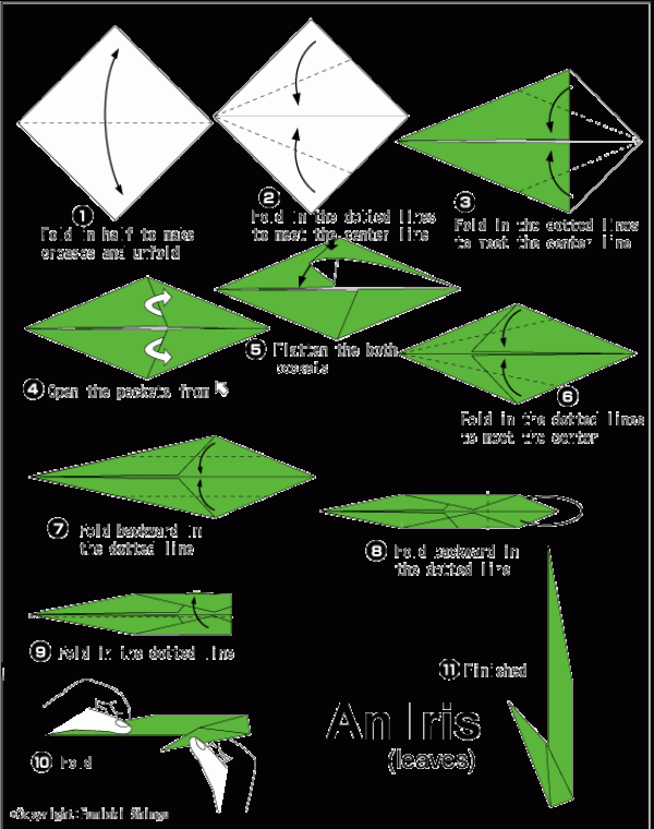 Complete collection of handmade origami flowers Origami iris tutorial