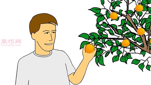 How to grow citrus at home Citrus cultivation and planting techniques