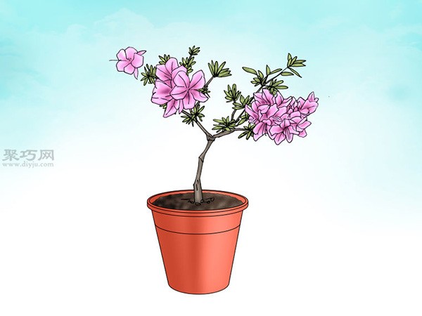 Illustrated Tutorial on Planting Rhododendrons How to Plant Rhododendrons