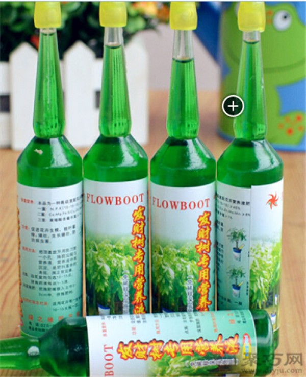 What kind of soil is good for cultivating money tree? How to use money tree nutrient solution?