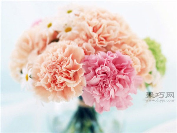 Send carnations on Mother’s Day. The meanings of different colored carnations