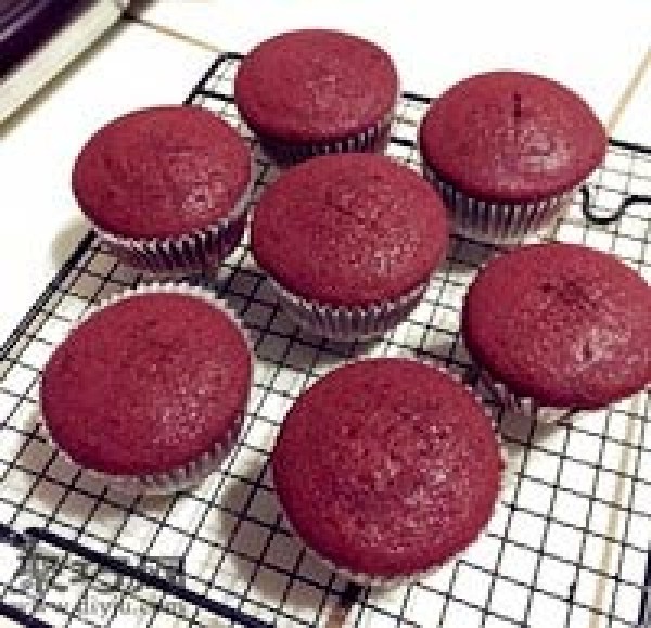 How to make delicious red velvet cupcakes. Illustration of the making process of classic red velvet cupcakes.