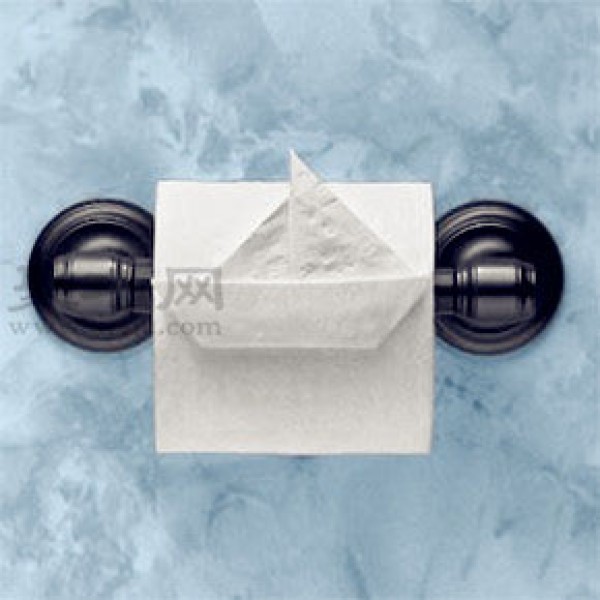 Toilet paper origami illustrated tutorial Toilet paper origami art appreciation