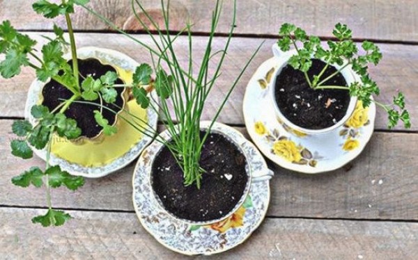 Tips for life: Renovate old tea sets. 5 creative DIY ideas for old tea cups.