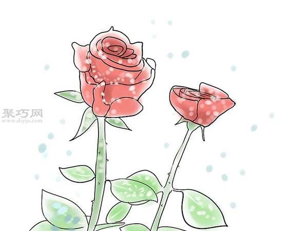 Illustrated tutorial on growing roses How to grow roses