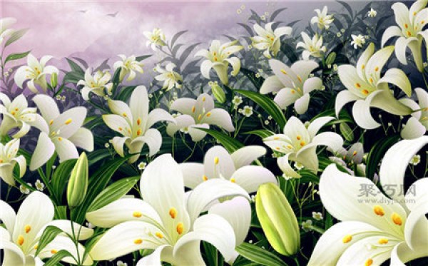 What is the flower language of lilies? Lily flower language encyclopedia