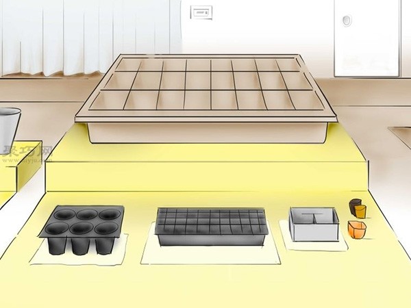 Steps to grow tomatoes from seeds How to grow tomatoes from seeds