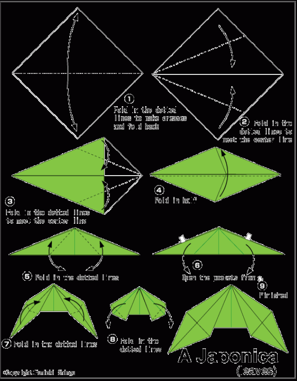 Complete tutorial on simple handmade origami of camellia