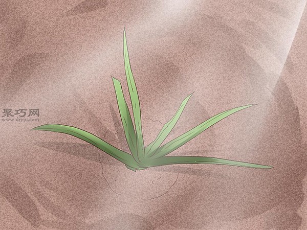 How to take care of aloe vera daily. Illustrated tutorial on growing aloe vera.