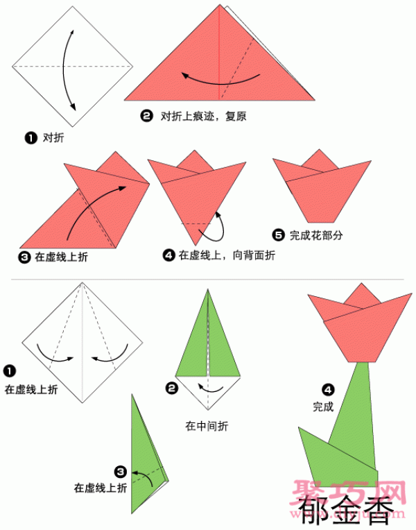 Tulip Origami Tutorial for Toddlers with Illustrated Steps