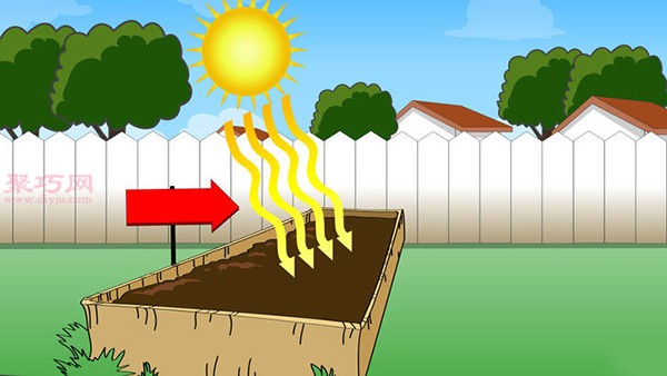 Growing Carrots Illustrated Tutorial How to Grow Carrots