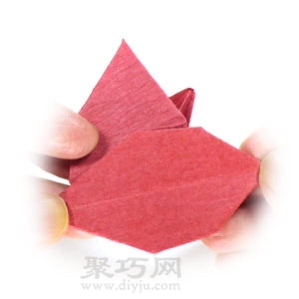 Origami Poinsettia Flower Illustration