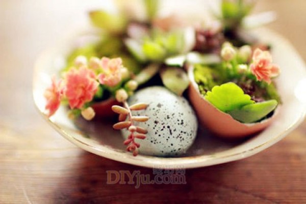 How to make crafts with egg shells and create mini bonsai from egg shells