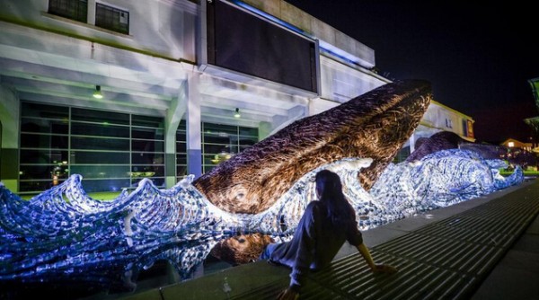 Giant whale built from 70,000 used plastic bottles to commemorate Europe’s green capital