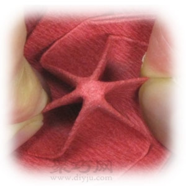 Origami Poinsettia Flower Illustration