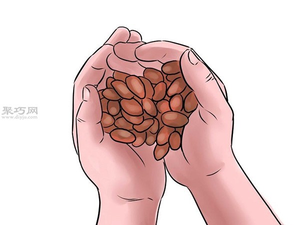 Tutorial on growing peanuts How to grow peanuts