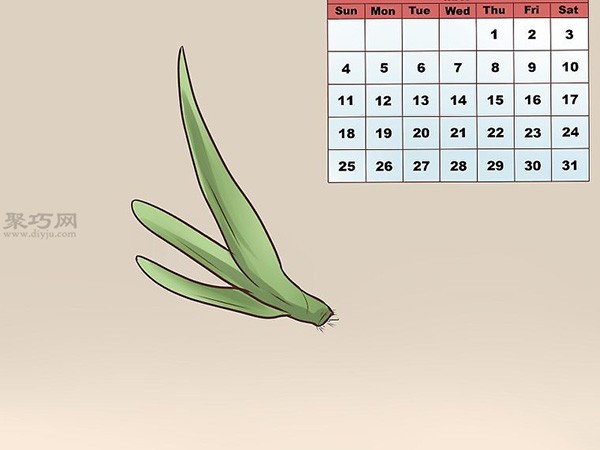 How to Propagate New Aloe Vera Illustrated Tutorial on Growing Aloe Vera