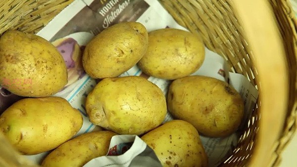 How to store potatoes How to store potatoes without sprouting