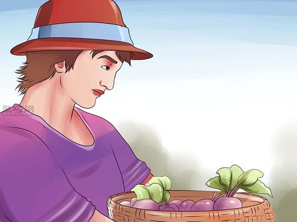 How to grow beets How to grow beets