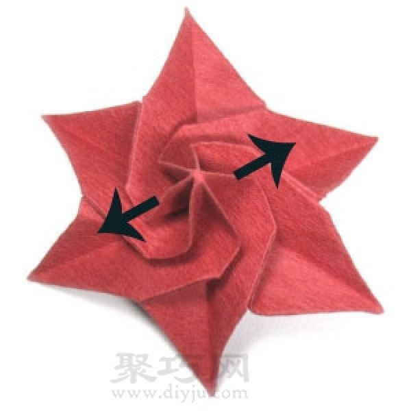 Origami Poinsettia Flower Illustration