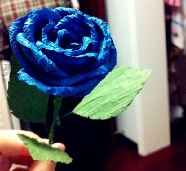 Illustration of how to fold a blue rose Tutorial on how to fold a blue rose with crepe paper