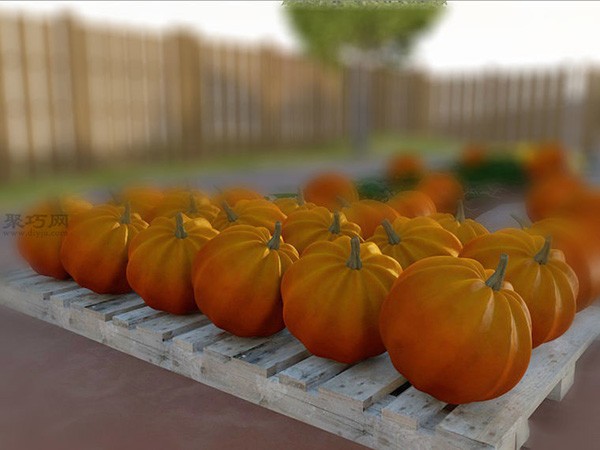 How to Grow Giant Pumpkins How to Grow Giant Pumpkins