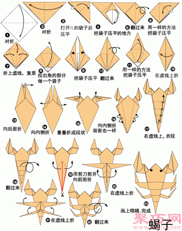 Animal origami illustration tutorial-scorpion