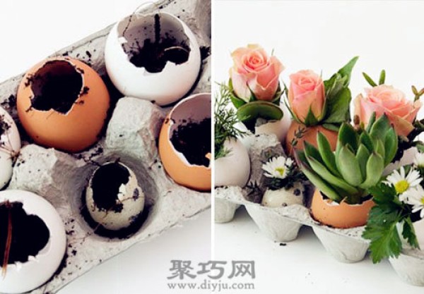 The wonderful use of egg shells. Handmade egg shell green plants in small pots.