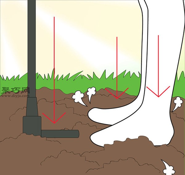 How to grow onions on the family balcony Precautions for growing onions