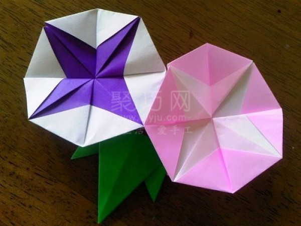 Morning Glory Origami Tutorial Teach you how to fold morning glory